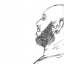 Celestino Neto